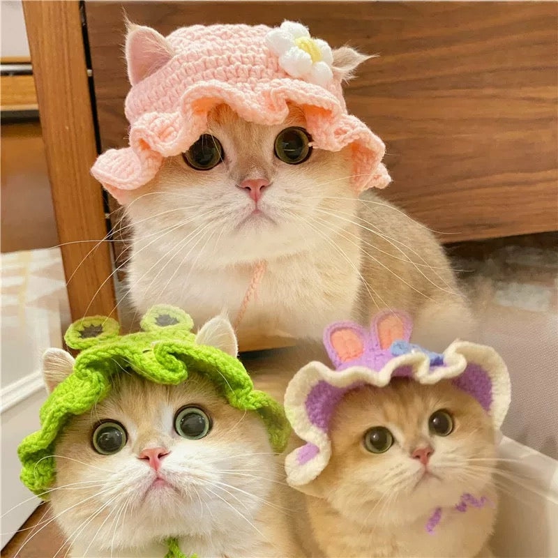 Accessories |  Cute Cartoon Hat For Cat Accessories Accessories