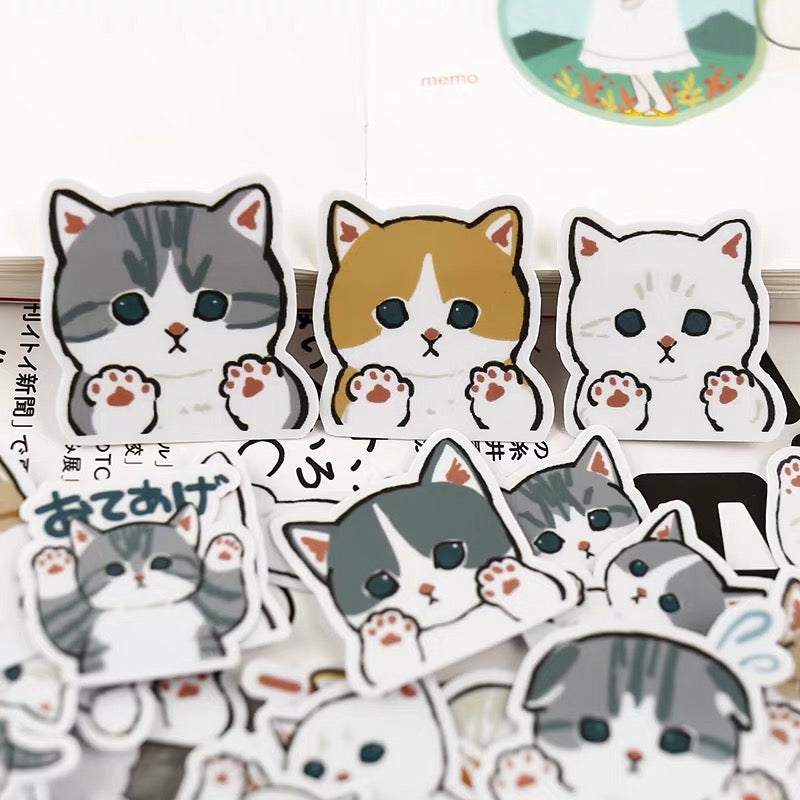 Accessories |  Cute Cats Sticker Accessories Accessories