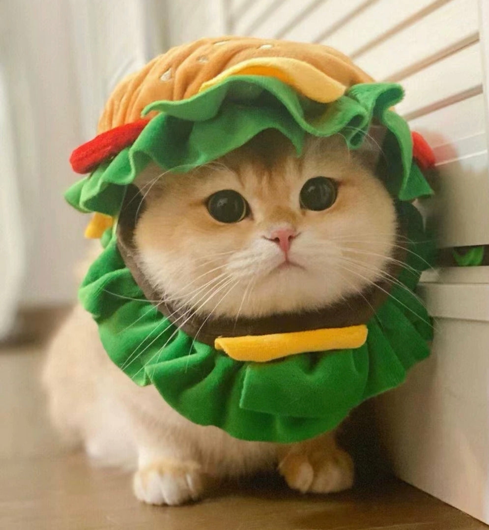 Accessories |  Cute Hamburger Pet Hat Accessories Accessories