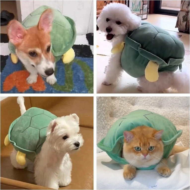 Houseware |  Cute Turtle Shell For Pet Houseware Houseware